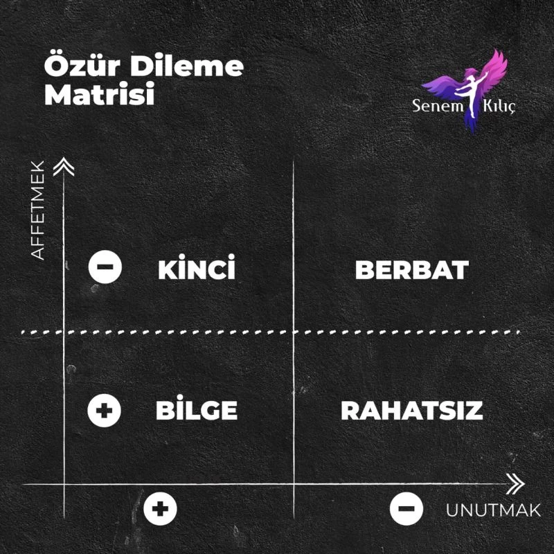 Özür Dileme Matrisi